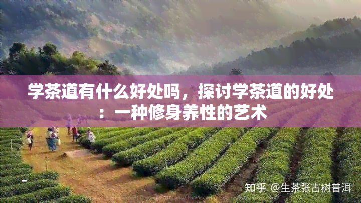 学茶道有什么好处吗，探讨学茶道的好处：一种修身养性的艺术