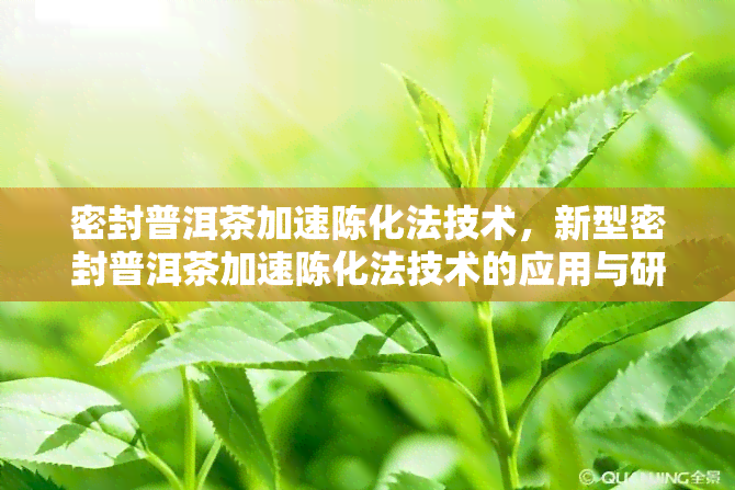 密封普洱茶加速陈化法技术，新型密封普洱茶加速陈化法技术的应用与研究