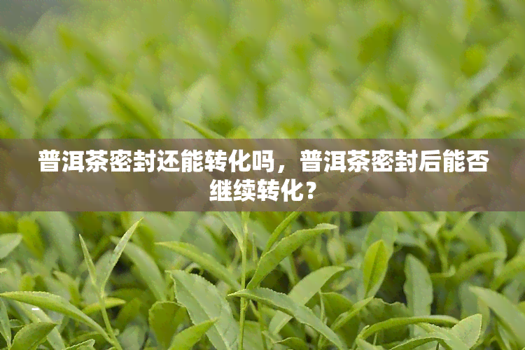 普洱茶密封还能转化吗，普洱茶密封后能否继续转化？