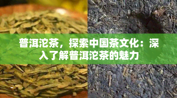 普洱沱茶，探索中国茶文化：深入了解普洱沱茶的魅力