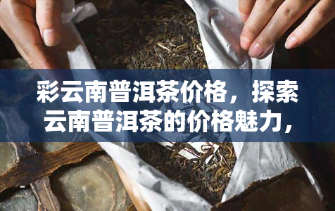 彩云南普洱茶价格，探索云南普洱茶的价格魅力，从入门到进阶全面解析