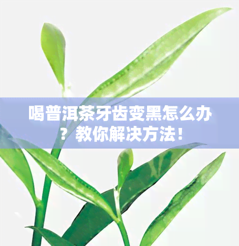 喝普洱茶牙齿变黑怎么办？教你解决方法！