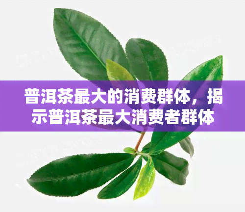 普洱茶更大的消费群体，揭示普洱茶更大消费者群体的身份与特征