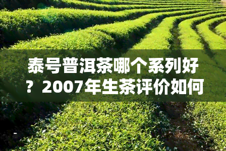 泰号普洱茶哪个系列好？2007年生茶评价如何？