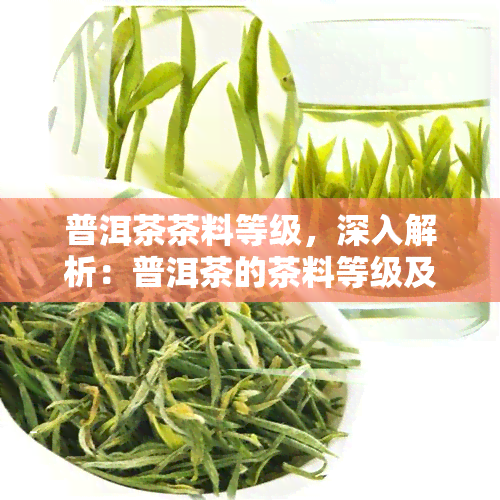 普洱茶茶料等级，深入解析：普洱茶的茶料等级及其影响因素