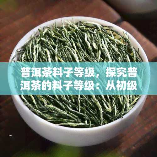 普洱茶料子等级，探究普洱茶的料子等级：从初级到顶级的全面解析