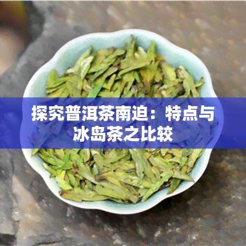 探究普洱茶南迫：特点与冰岛茶之比较