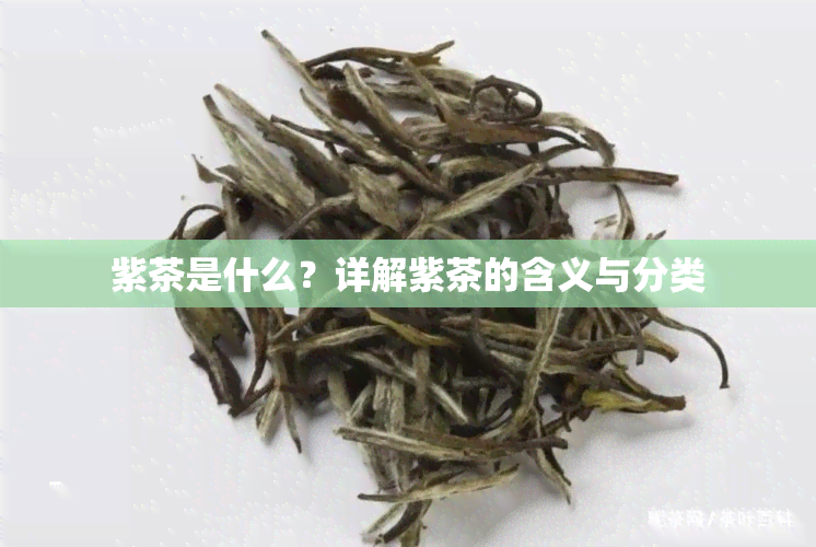 紫茶是什么？详解紫茶的含义与分类