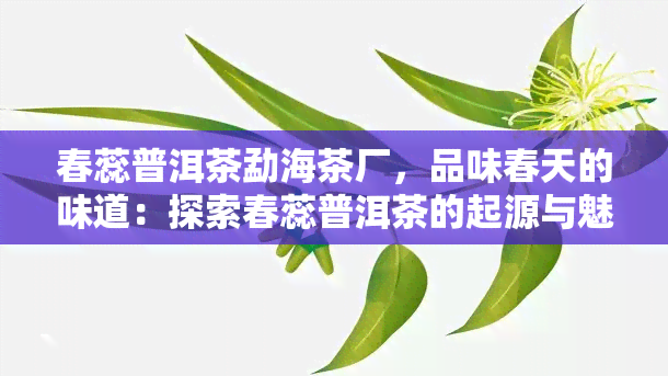 春蕊普洱茶勐海茶厂，品味春天的味道：探索春蕊普洱茶的起源与魅力——勐海茶厂探秘之旅