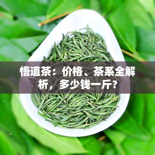 悟道茶：价格、茶系全解析，多少钱一斤？