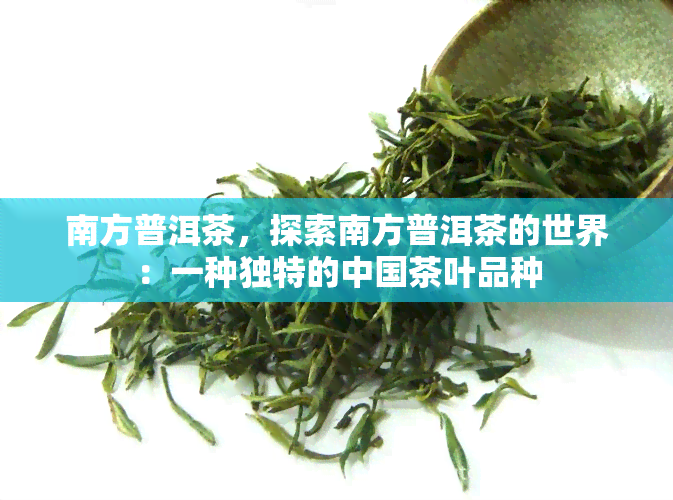 南方普洱茶，探索南方普洱茶的世界：一种独特的中国茶叶品种