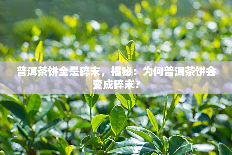 普洱茶饼全是碎末，揭秘：为何普洱茶饼会变成碎末？