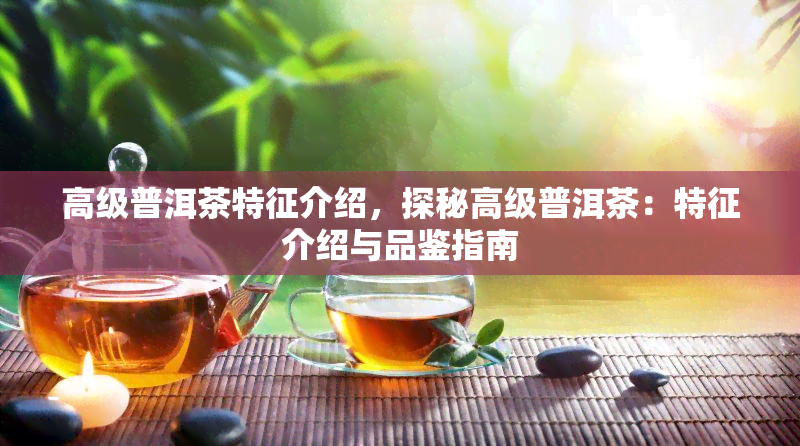 高级普洱茶特征介绍，探秘高级普洱茶：特征介绍与品鉴指南