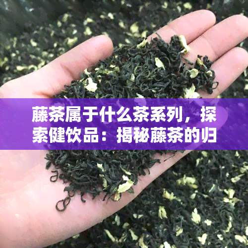 藤茶属于什么茶系列，探索健饮品：揭秘藤茶的归属——它属于哪种茶系列？