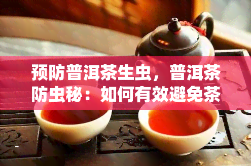 预防普洱茶生虫，普洱茶防虫秘：如何有效避免茶叶被虫蛀？