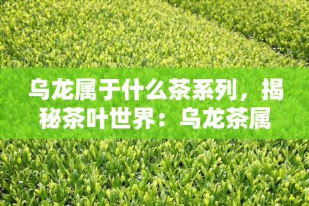 乌龙属于什么茶系列，揭秘茶叶世界：乌龙茶属于哪个茶系？