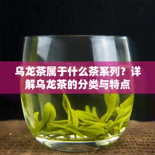 乌龙茶属于什么茶系列？详解乌龙茶的分类与特点