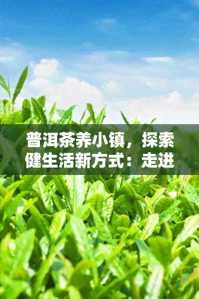 普洱茶养小镇，探索健生活新方式：走进普洱茶养小镇