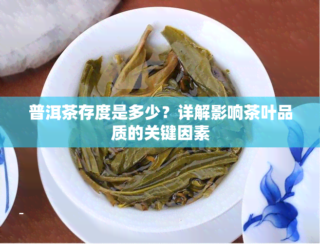 普洱茶存度是多少？详解影响茶叶品质的关键因素