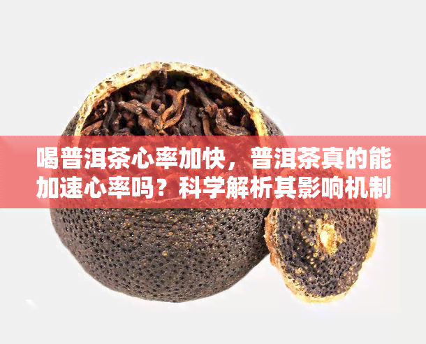 喝普洱茶心率加快，普洱茶真的能加速心率吗？科学解析其影响机制