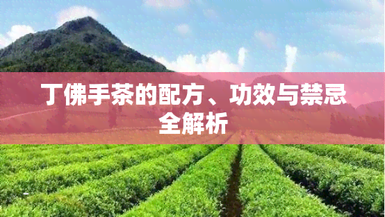 丁佛手茶的配方、功效与禁忌全解析