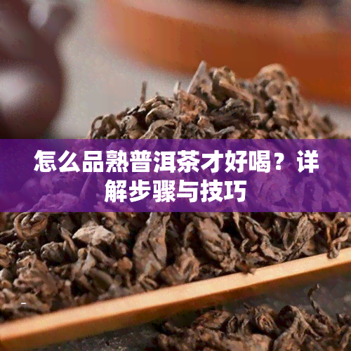 怎么品熟普洱茶才好喝？详解步骤与技巧