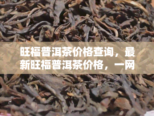 旺福普洱茶价格查询，最新旺福普洱茶价格，一网打尽！