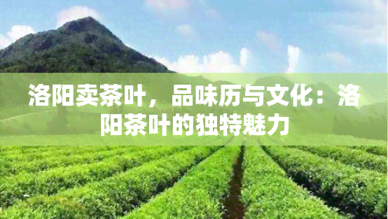 洛阳卖茶叶，品味历与文化：洛阳茶叶的独特魅力