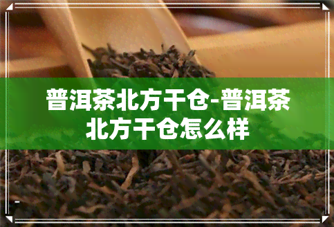 普洱茶北方干仓-普洱茶北方干仓怎么样