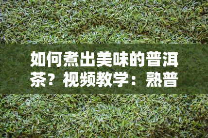 如何煮出美味的普洱茶？视频教学：熟普洱茶不宜长期饮用