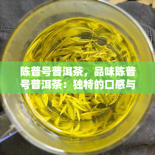 陈普号普洱茶，品味陈普号普洱茶：独特的口感与历传承