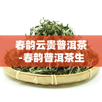 春韵云贵普洱茶-春韵普洱茶生茶价格