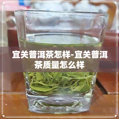 宜关普洱茶怎样-宜关普洱茶质量怎么样