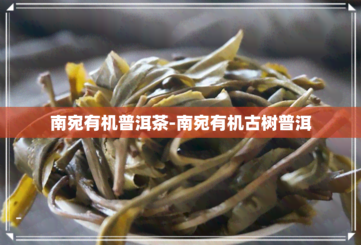 南宛有机普洱茶-南宛有机古树普洱