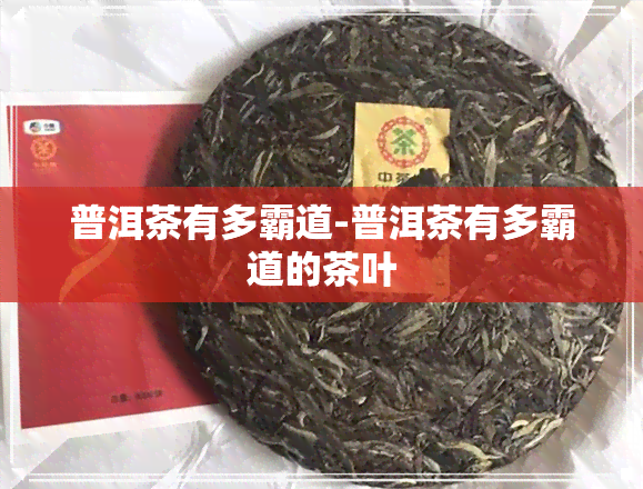 普洱茶有多霸道-普洱茶有多霸道的茶叶