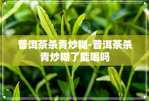 普洱茶杀青炒糊-普洱茶杀青炒糊了能喝吗