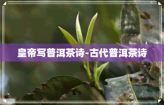 皇帝写普洱茶诗-古代普洱茶诗