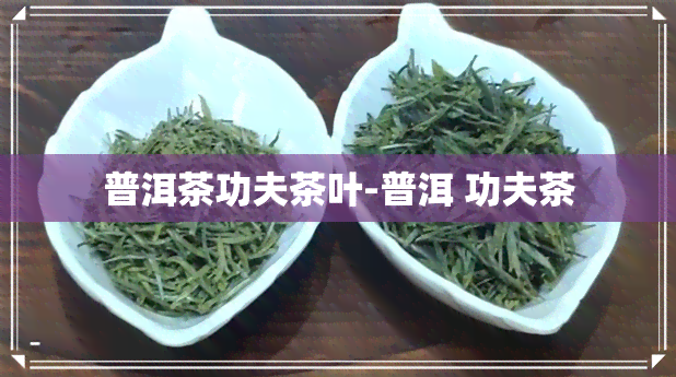 普洱茶功夫茶叶-普洱 功夫茶