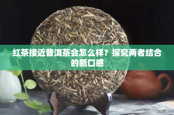 红茶接近普洱茶会怎么样？探究两者结合的新口感