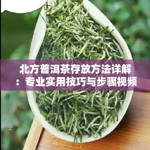 北方普洱茶存放方法详解：专业实用技巧与步骤视频