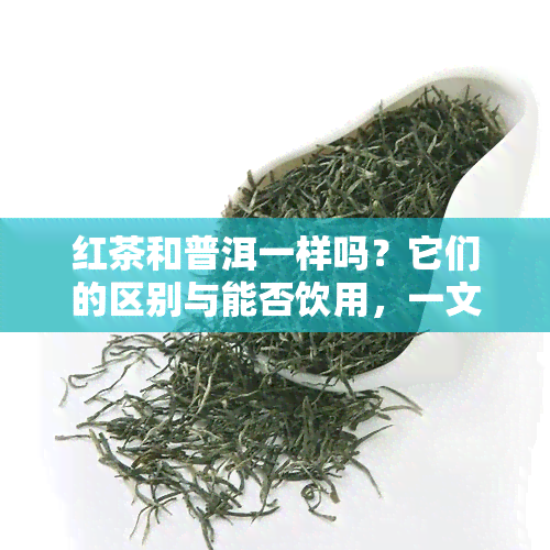 红茶和普洱一样吗？它们的区别与能否饮用，一文解析