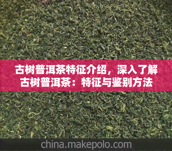 古树普洱茶特征介绍，深入了解古树普洱茶：特征与鉴别方法