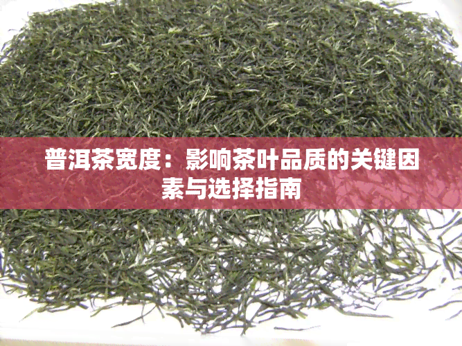 普洱茶宽度：影响茶叶品质的关键因素与选择指南