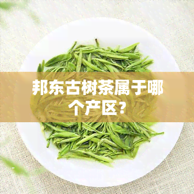 邦东古树茶属于哪个产区？