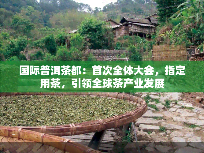 国际普洱茶都：首次全体大会，指定用茶，引领全球茶产业发展