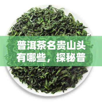 普洱茶名贵山头有哪些，探秘普洱茶的世界：揭秘那些名贵的山头