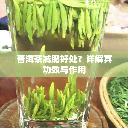 普洱茶减肥好处？详解其功效与作用