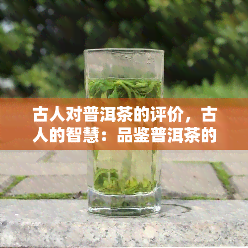 古人对普洱茶的评价，古人的智慧：品鉴普洱茶的历评价