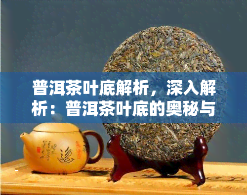 普洱茶叶底解析，深入解析：普洱茶叶底的奥秘与魅力