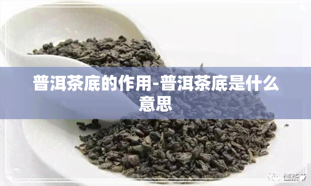 普洱茶底的作用-普洱茶底是什么意思